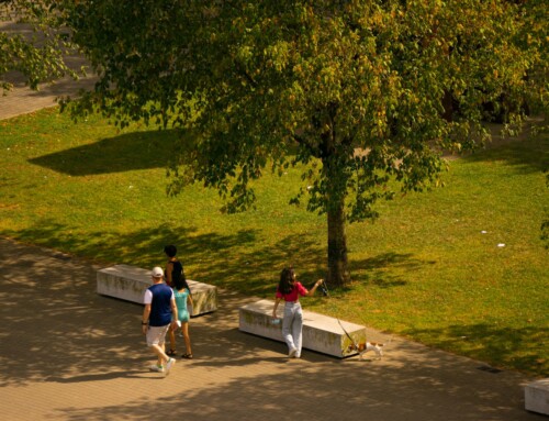 Family Guide to San Francisco’s Best Parks