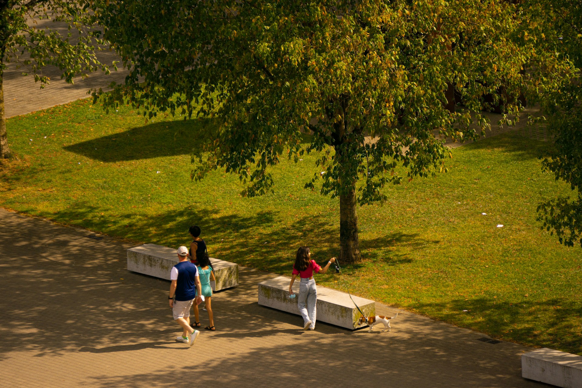 San Francisco's Best Parks