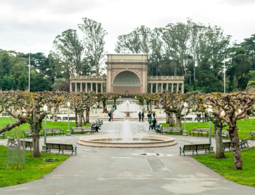 Must-See Family-Friendly Museums in San Francisco