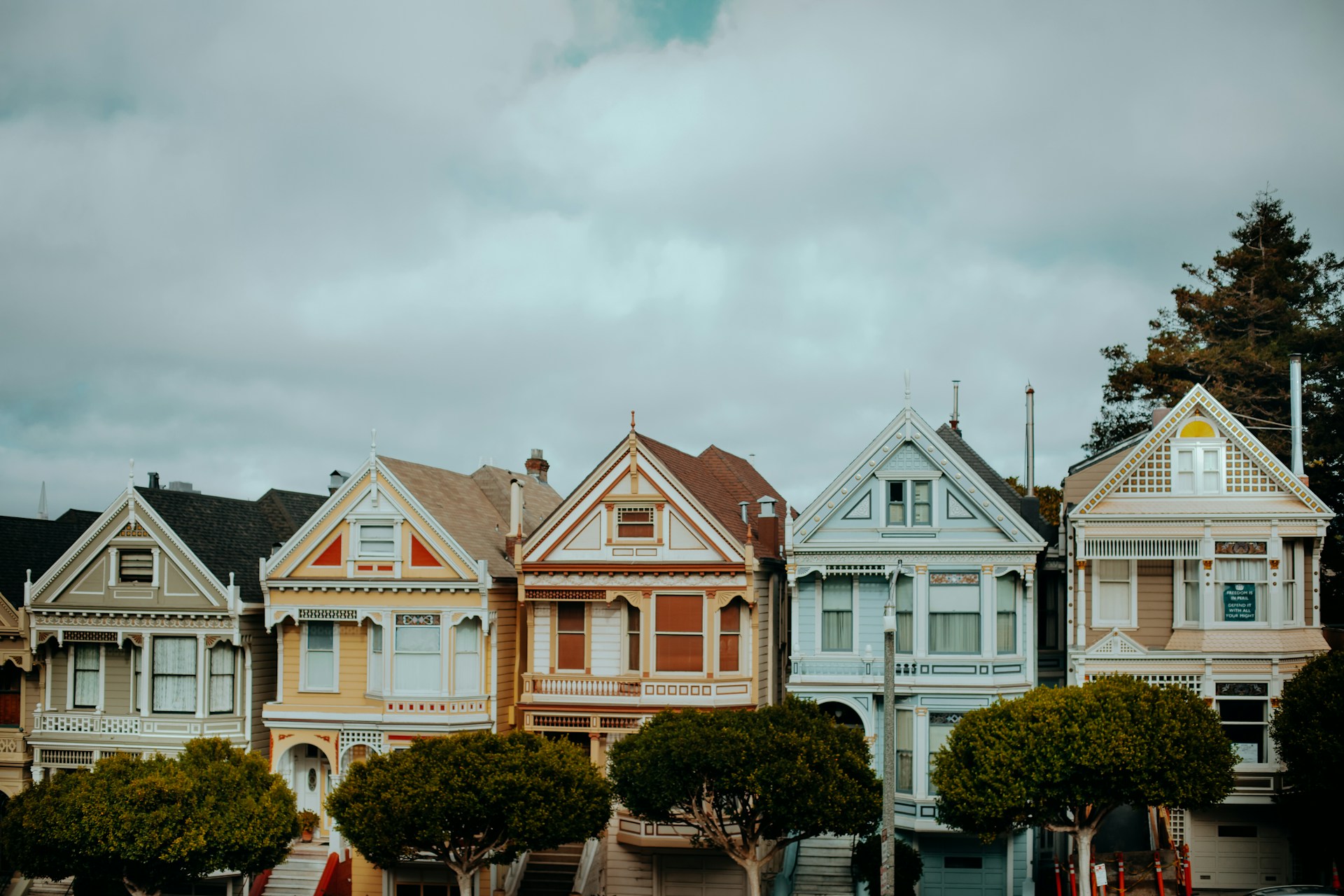 Painted Ladies