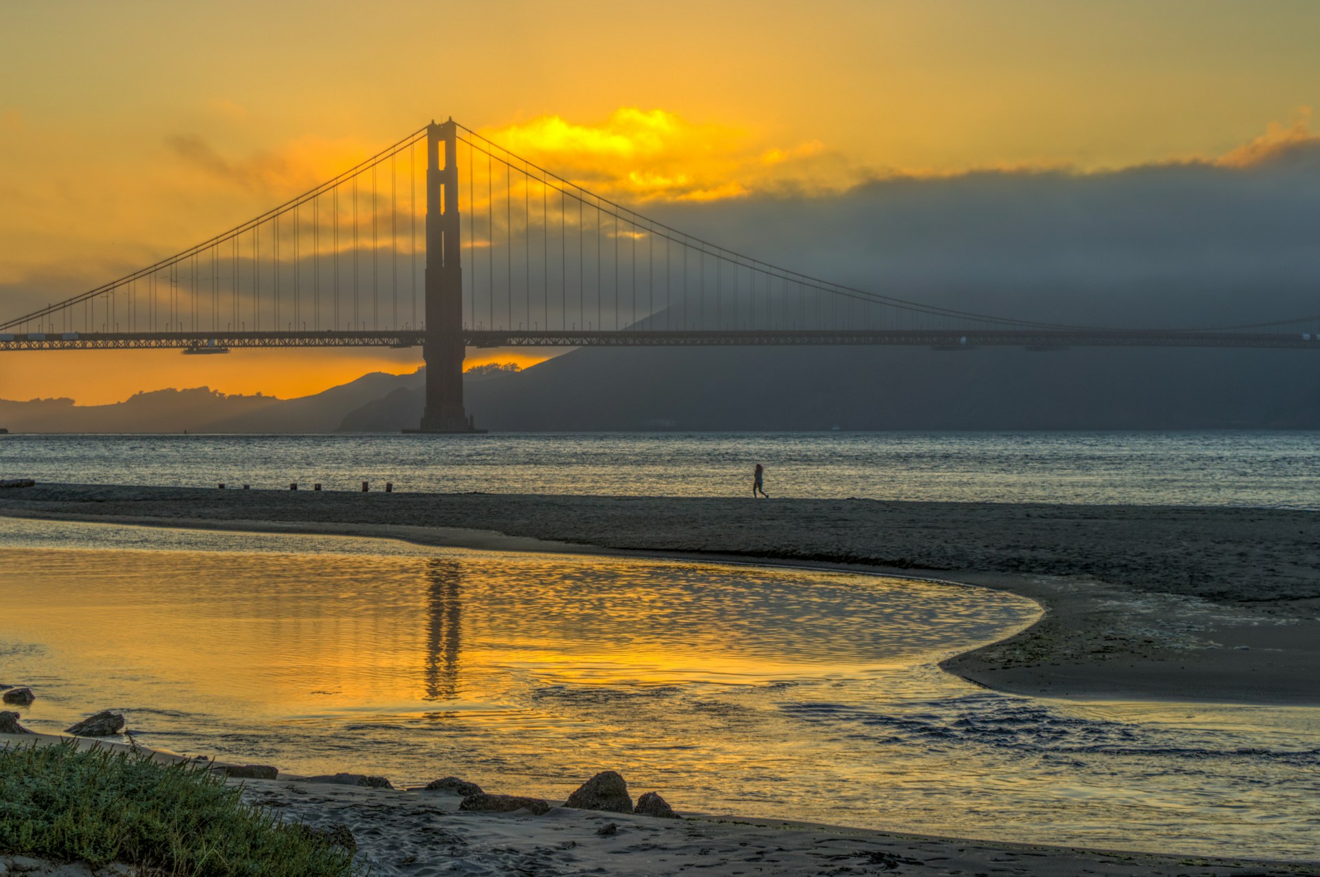 Crissy Field