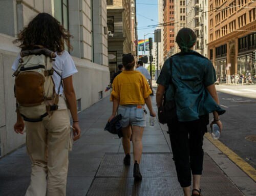 Which Scenic Walking Routes in San Francisco Are Easiest for Beginners?